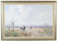法拉堡瓦附近的黑馬羚