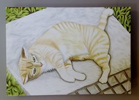 新加坡Cat at Rest by Megan鉛筆畫
